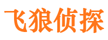 惠来婚外情调查取证